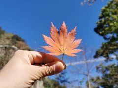 -丹东天桥沟景区