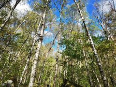 -叠溪松坪沟景区