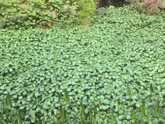 -雨湖公园