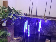 -锦色烤鸭·本地菜(学院路店)