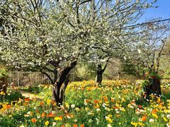 -名花谷生态庄园