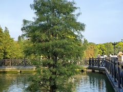 -海珠湖公园