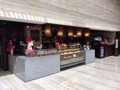 iphone_upload_pic-新加坡乌节希尔顿酒店 (SG Clean)