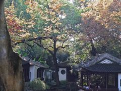 -秋霞圃