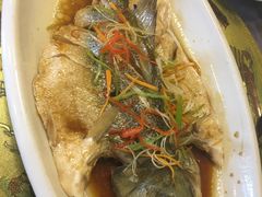 -肘子酥·天津菜·特色捞面(德云社店)