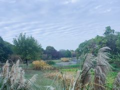 -艾溪湖湿地公园