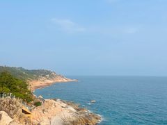 -广东惠东海龟国家级自然保护区
