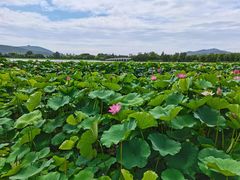 -云龙湖旅游景区