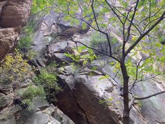 -黑龙潭风景区
