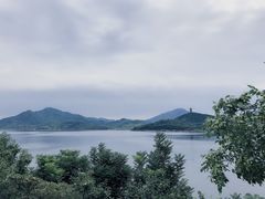 景观位-望湖烤鱼