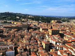 -圣母百花大教堂穹顶