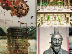 -北京中医药大学-中医药博物馆