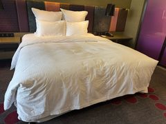 -南京禄口机场雅高铂尔曼大酒店