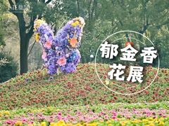 -上海鲜花港