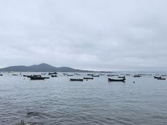 -海源公园