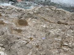 -西岭雪山大飞水景区