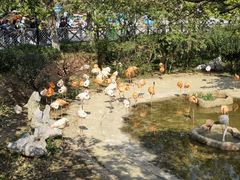 -大连森林动物园