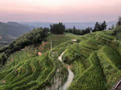 -紫鹊界梯田景区