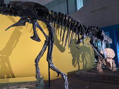 -湖南省地质博物馆