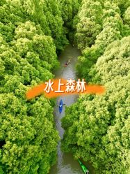 -击水俱乐部