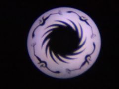 -浙江西湖美术馆