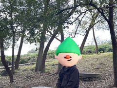 -南京市江宁方山
