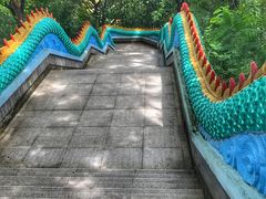 -西双版纳勐泐文化旅游区