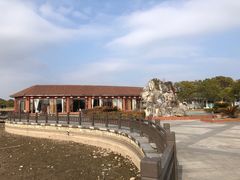 -上海都市菜园