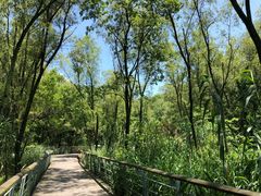 -西湖风景区-江洋畈生态公园