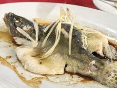 野生小鲈-虾王农家乐(鼎湖店)