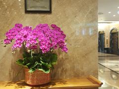 -南京维景国际大酒店(南京博物院店)