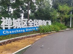 -王借岗森林公园
