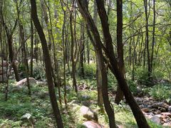 -玉渡山自然风景区