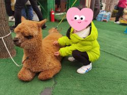 -萌宠亲子动物乐园(槐房万达店)