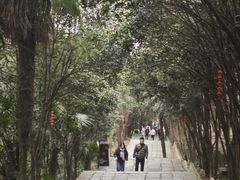 -武当山风景区-太子坡