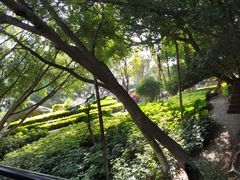 -胡里山炮台