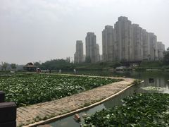-前关湿地公园