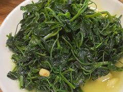 蒜泥山野菜-乡土特色.冷锅鱼.牦牛肉汤锅