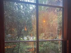 -薇酌饮·陕西菜(南门外店)