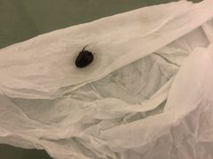 -香港富荟上环酒店