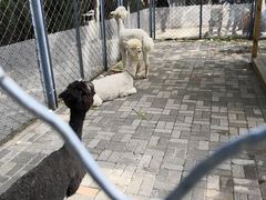 -长白岛森林公园