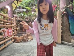 -正佳雨林生态植物园