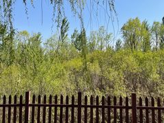 -野鸭湖国家湿地公园