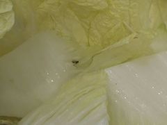 -刘一锅筋头巴脑(新民街店)