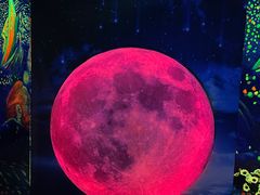 -成都梵高星空艺术馆(春熙路旗舰店)