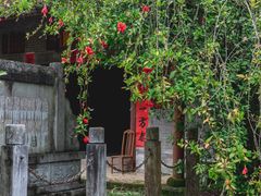 -靖西鹅泉风景区