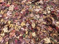 -辽宁大学(崇山校区)