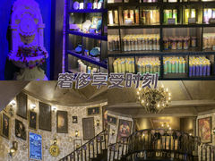 -雪灵魔法世界SHELLY’S TAROT(大良桂畔里店)