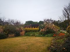 -新江湾城公园