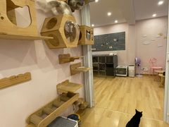 -猫咪派对(江南西店)
